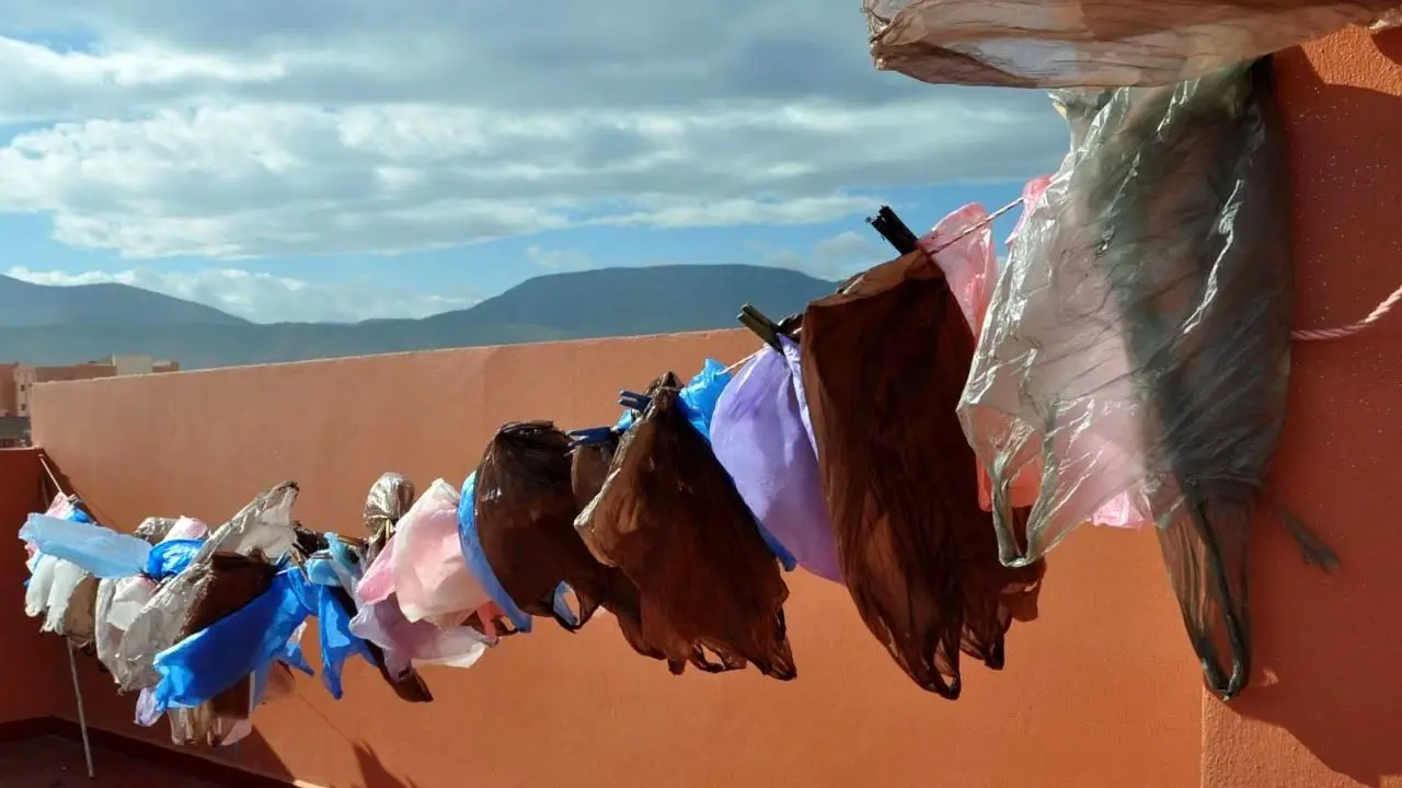 دور دنیا| اثر معکوس ممنوعیت کیسه‌های پلاستیکی بر محیط‌زیست مراکش