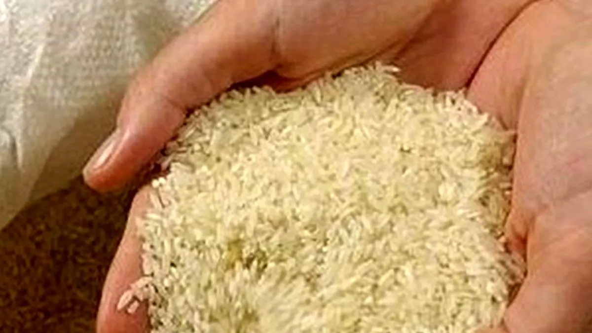 علت افزایش قیمت برنج چیست؟/ رسوب 100 هزار تن برنج در بنادر