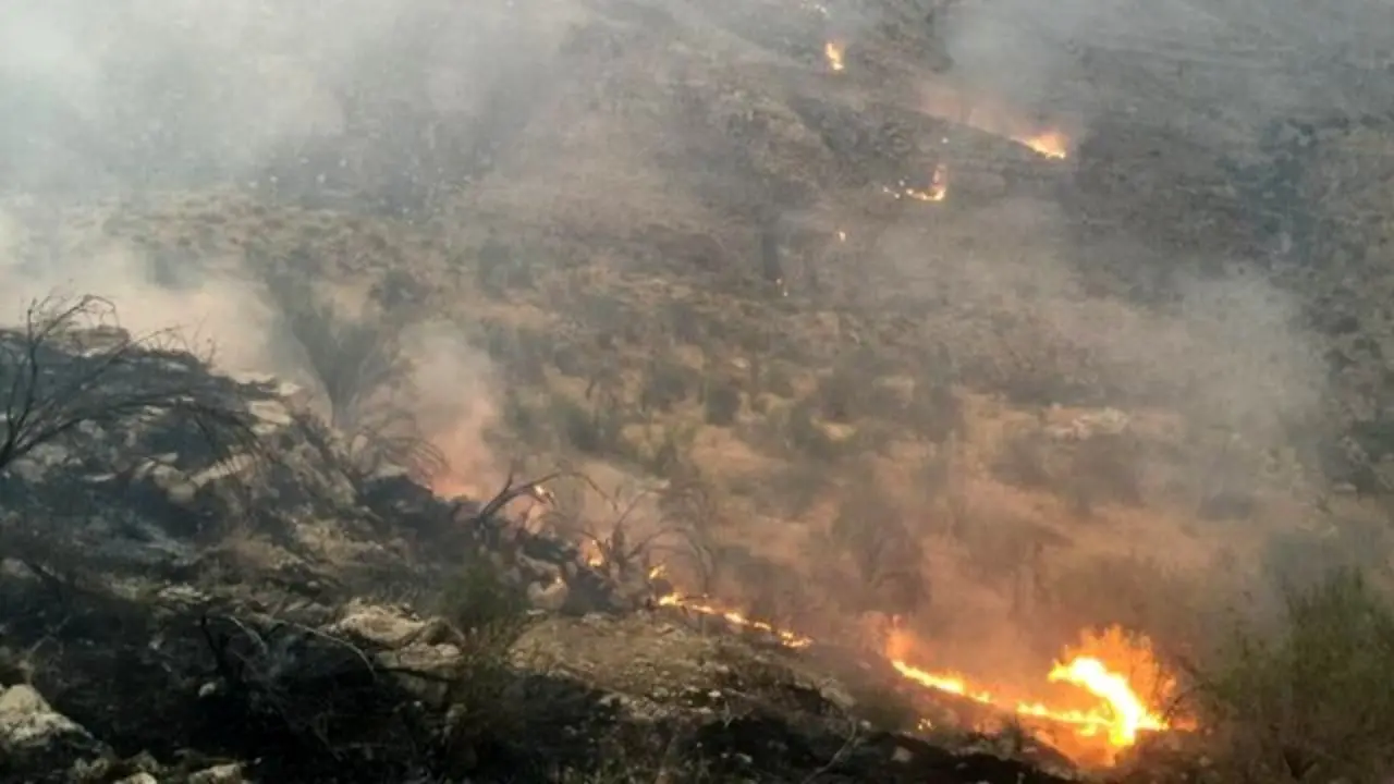 آتش‌سوزی در کوه گیسکان مهار شد