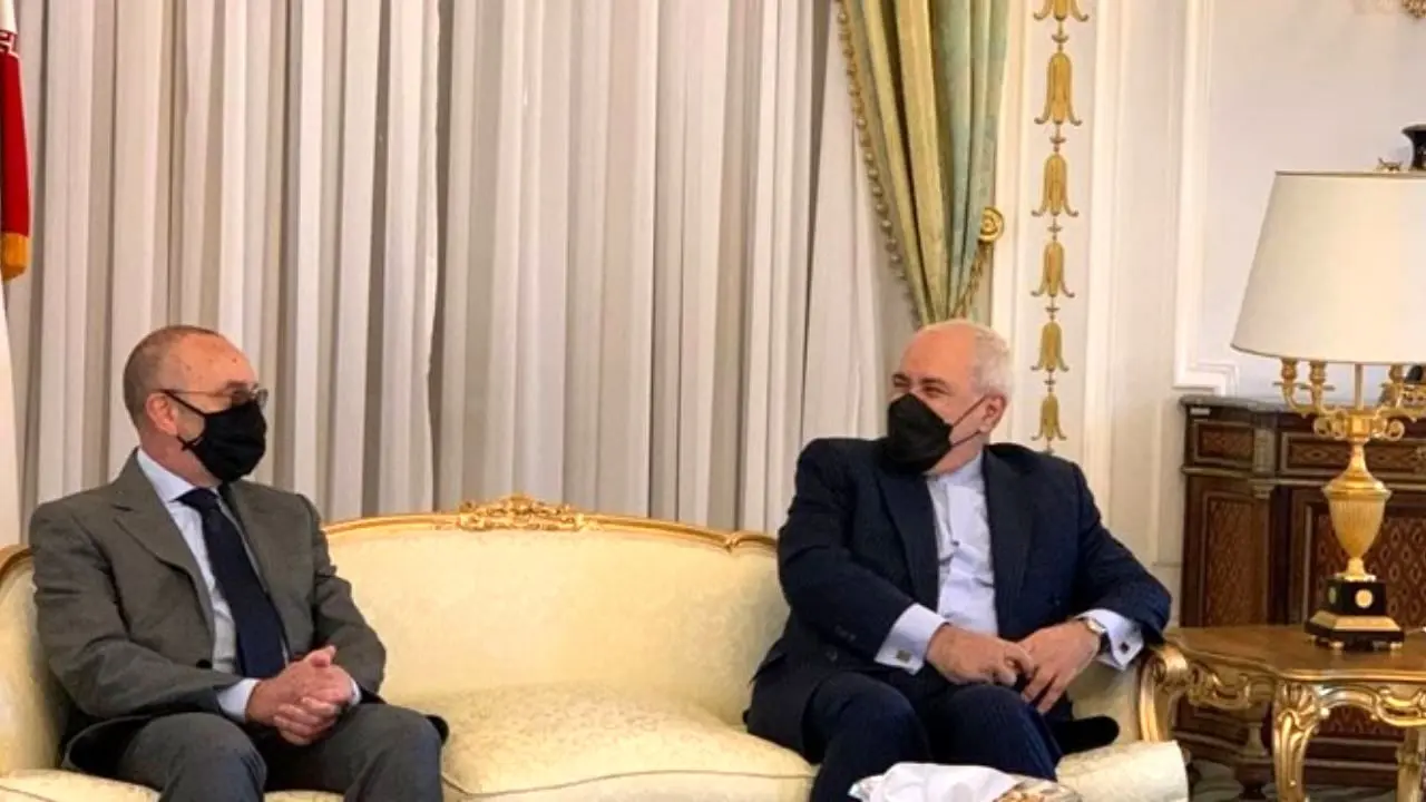ظریف با رئیس کمیسیون سیاست خارجی مجلس سنای ایتالیا دیدار کرد