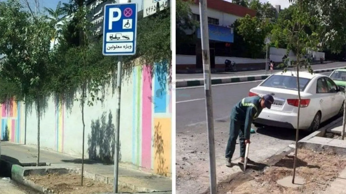 کاشت نهال در محل مخزن کشف جسد بابک خرمدین / ترویج فرهنگ دوچرخه‌سواری بین شهروندان