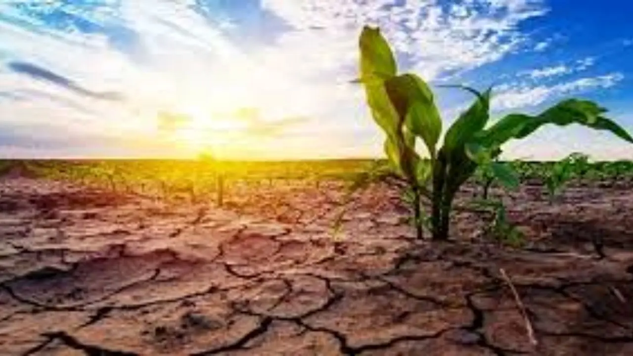 احتمال توقف رشد بخش کشاورزی به دلیل خشکسالی