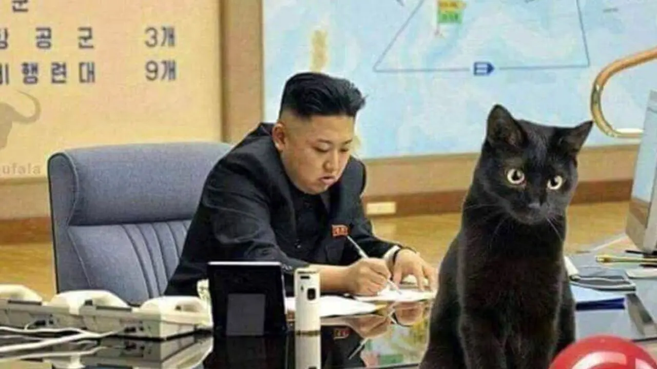رهبر کره شمالی این بار به جان کبوترها و گربه‌ها افتاد
