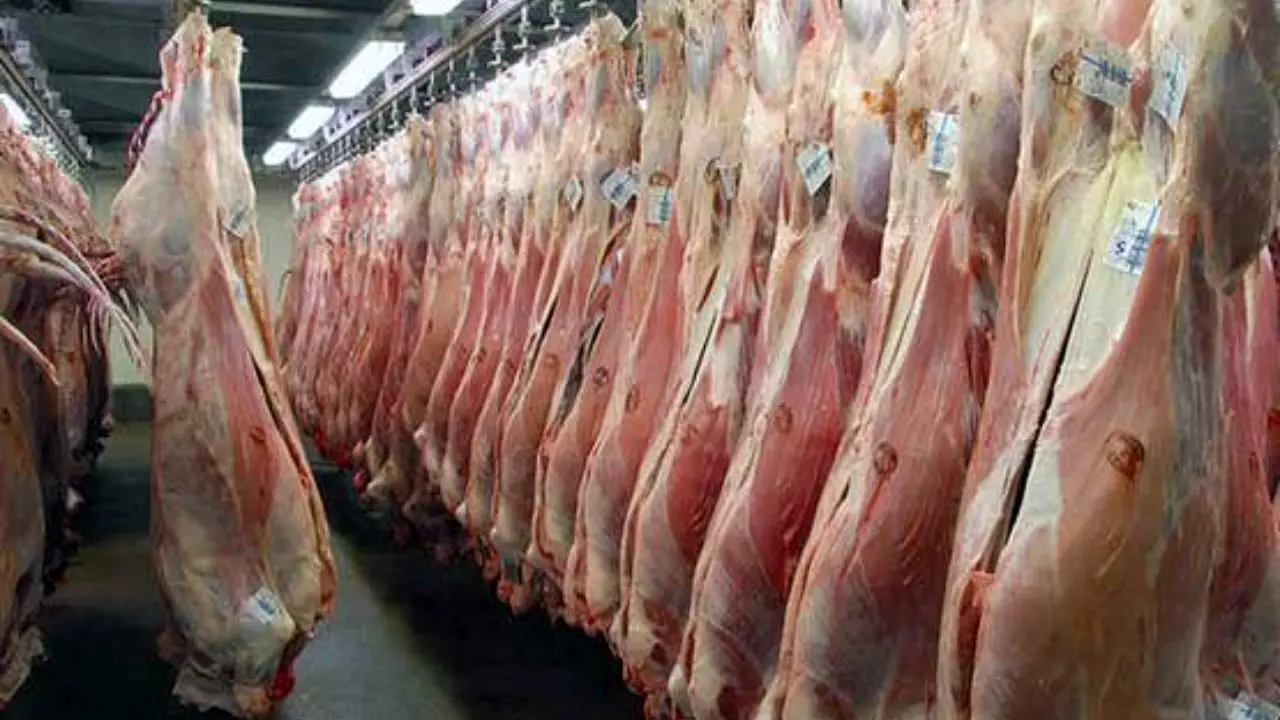 2 ابتلا به تب کریمه‌کنگو طی امسال/ خرید محصولات گوشتی تنها از مراکز مجاز