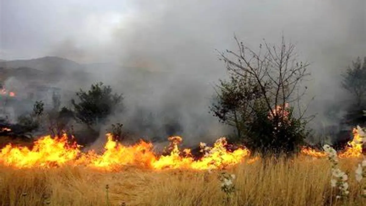 چرا آتش‌سوزی‌ عرصه‌های طبیعی جدی گرفته نمی‌شود؟