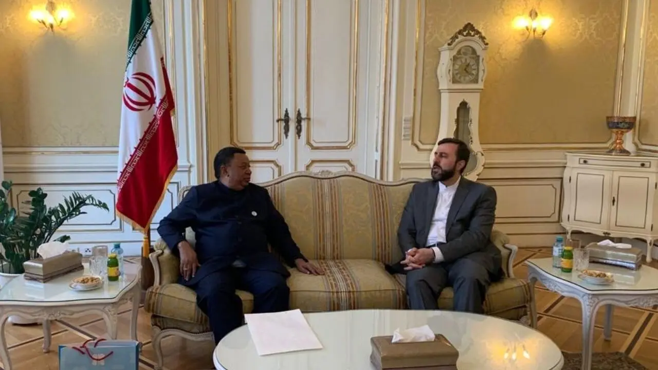 سفیر ایران با دبیرکل اوپک دیدار کرد