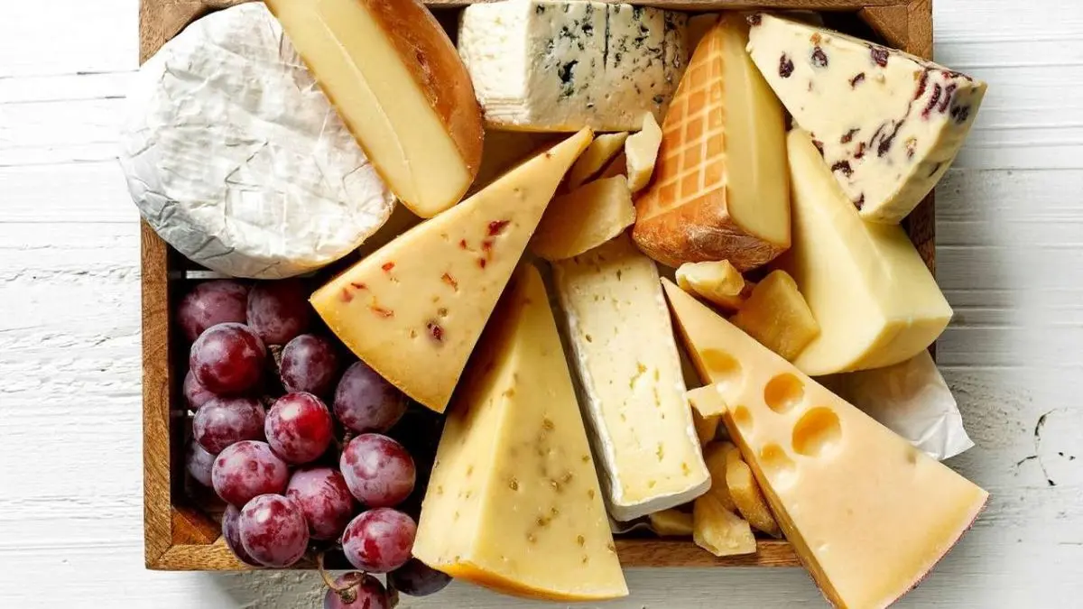 قیمت انواع پنیر فله سنتی و صنعتی در بازار