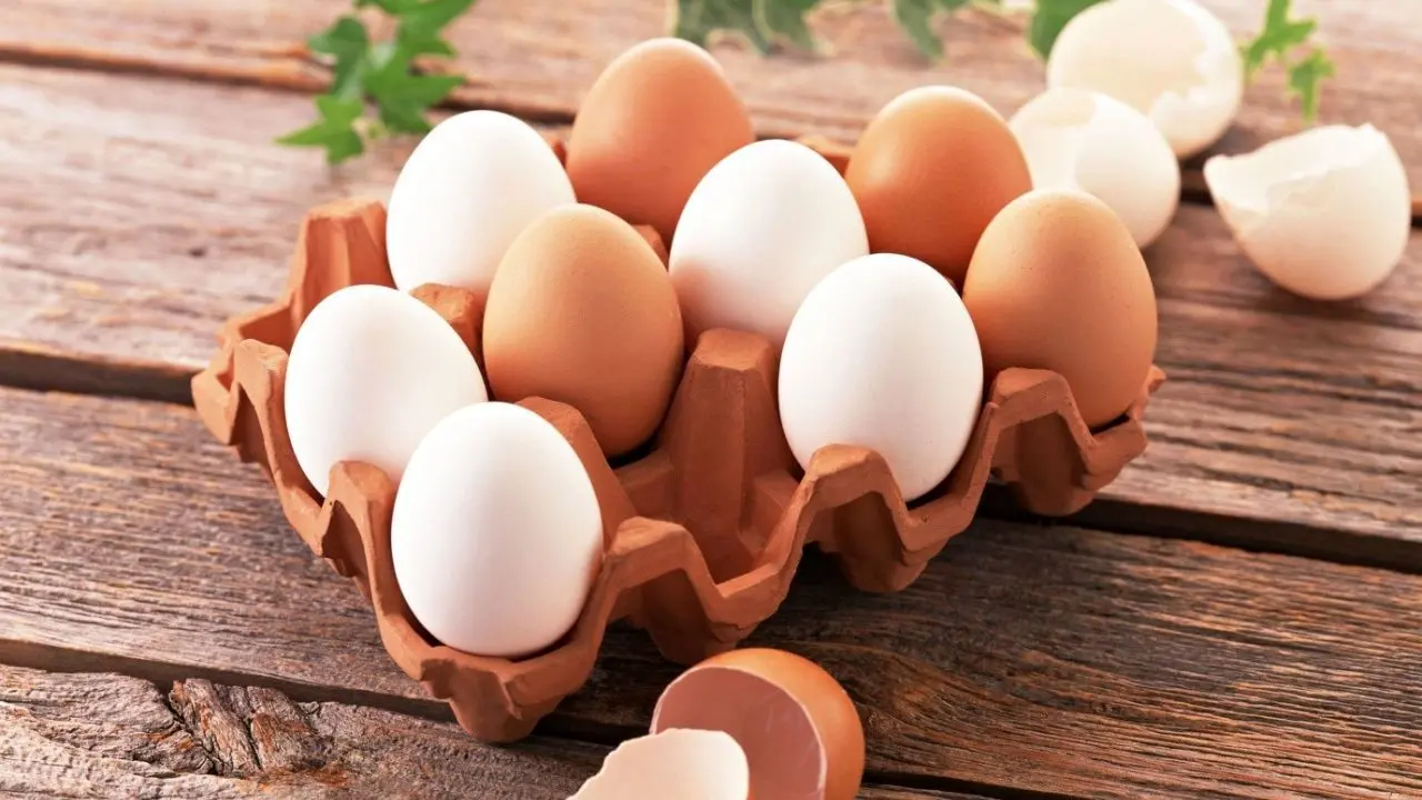 تخم مرغ گران نشده است/ بعد از 3 ماه زیان مرغداران به قیمت مصوب رسیدیم/ پیش‌بینی بازار ملتهب برای ماه‌های آینده