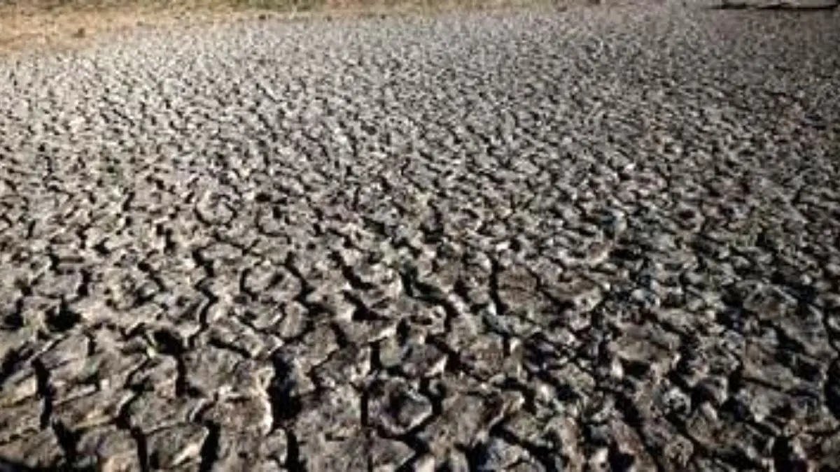 کالیفرنیا سخت ترین شرایط خشکسالی در 90 سال گذشته را تجربه می‌کند