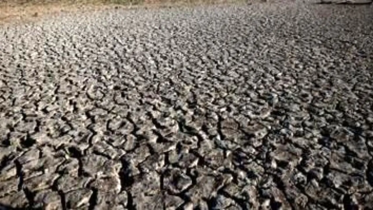 وخیم ترین بحران خشکسالی در برزیل