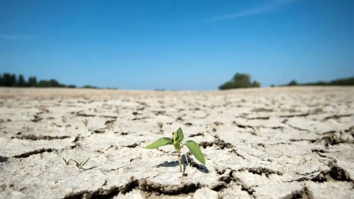 خشکسالی تاریخی در بیش از 90 درصد غرب آمریکا
