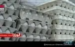 ببینید| چرا تخم مرغ گران شد؟