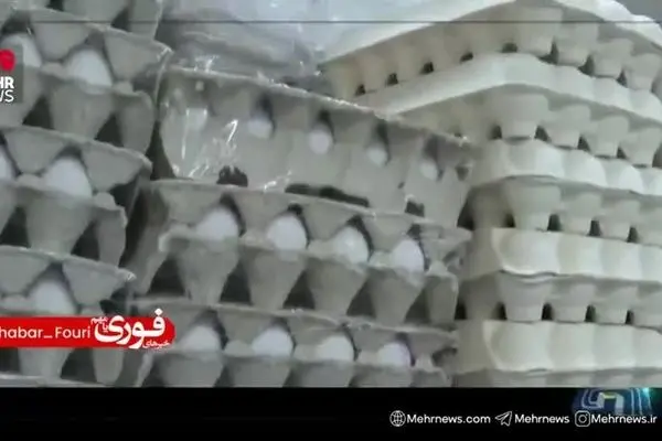 ببینید| چرا تخم مرغ گران شد؟