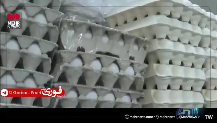 ببینید| چرا تخم مرغ گران شد؟