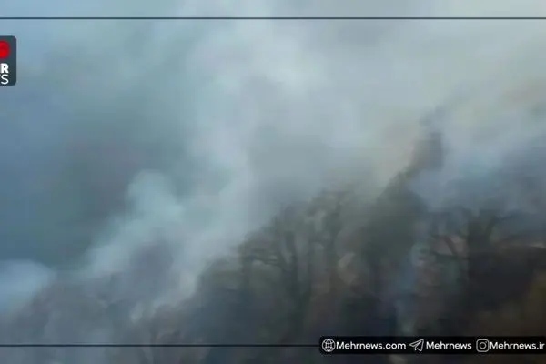 ببینید| انتشار برای اولین بار؛ تصاویر هوایی از وسعت آتش‌سوزی در جنگل های الیت مازندران