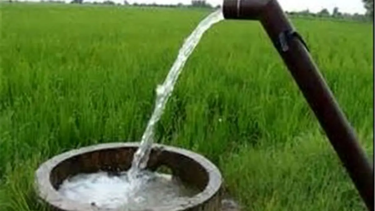 کمبود آب زراعی مهم‌ترین مانع در توسعه کشاورزی ورامین محسوب می‌شود