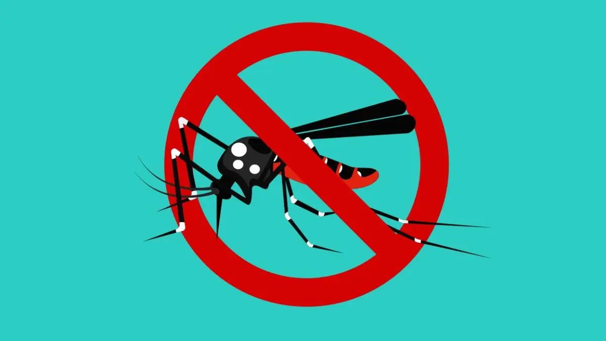 ورود یک «پشه» دردسرساز به کشور و سه بیماری مهمی که منتقل می‌کند