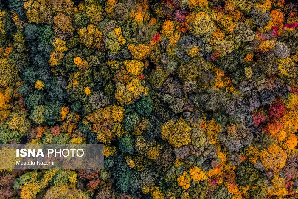 تصاویر هوایی از جنگل‌های پاییزی ایران