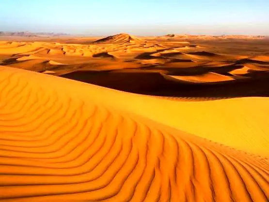 تصویری باورنکردی از بیابان‌های عربستان در حال تبدیل شدن به جنگل؛ مقایسه کنید با جنگل‌های ایران که در حال نابودی است!