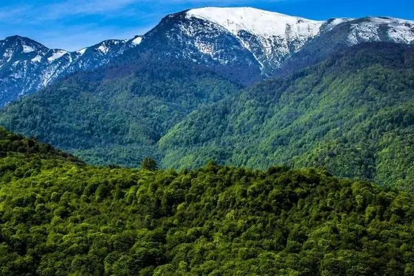 خبر روزنامه اعتماد از ساخت و ساز نزدیکان یک فرد پرنفوذ در استان شمالی در جنگل‌های هیرکانی؛ ویلاسازی در جنگل «توسکاجاری بورسله » و «ولیکستان » بابل!