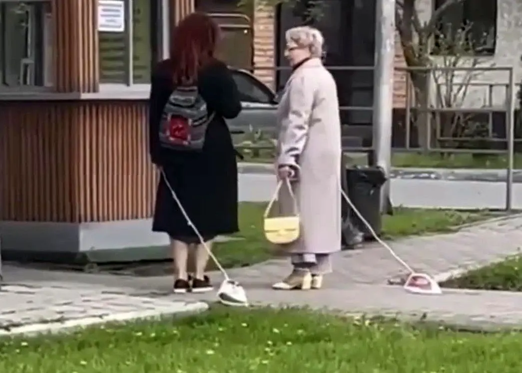 چرا زنان خانه‌دار روس اتوهایشان را با خود به گردش می‌برند؟ + ویدئو