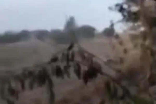 ببینید| درگیری نظامیان پاکستانی و افراد مسلح