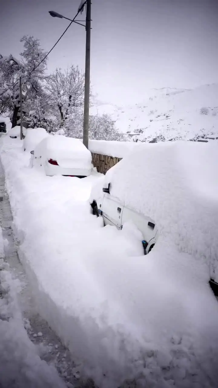 ببینید| بارش ۶۰ سانتی متری برف در کنگ خراسان 