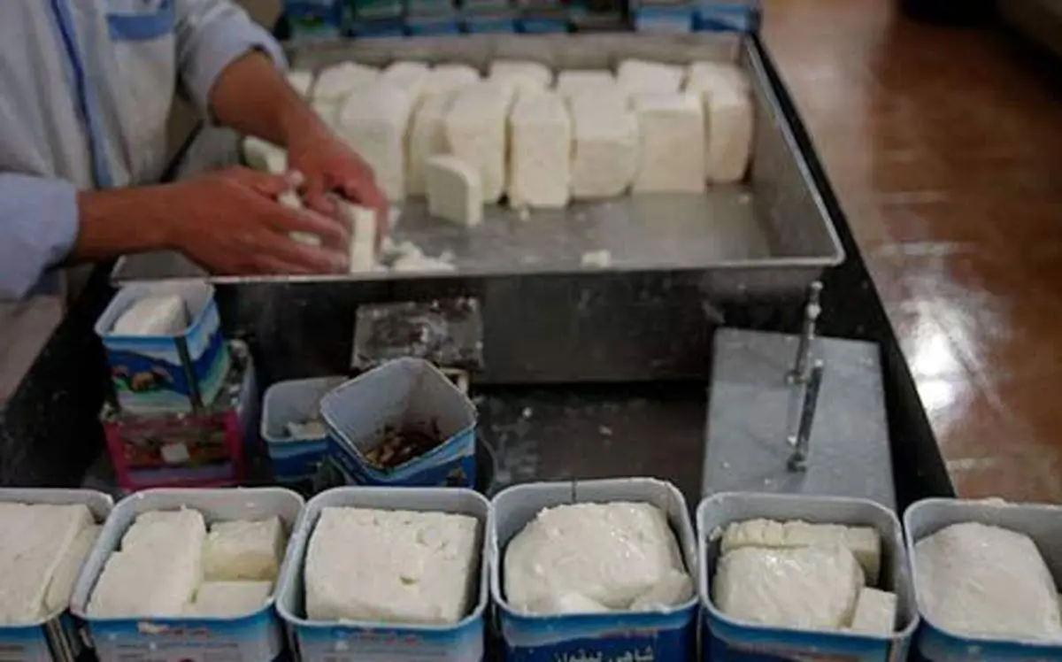 قیمت انواع پنیر فله سنتی و صنعتی در میادین میوه/ لیقوان ممتاز چند قیمت خورد؟