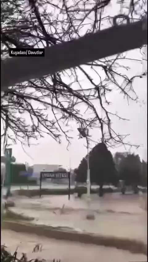 ببینید| شناور شدن خودروها در کوش‌آداسی ترکیه پس از بارش شدید باران