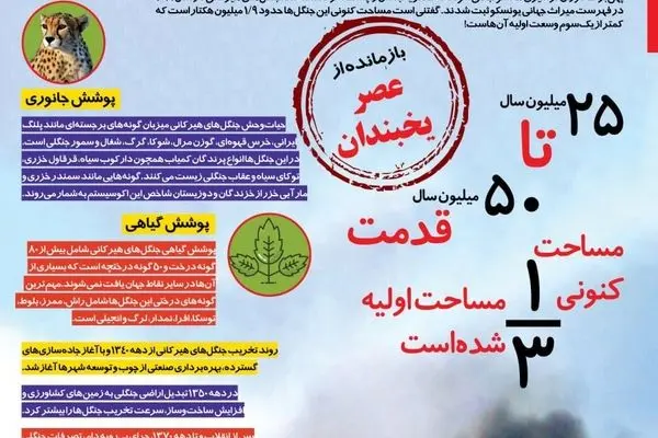 اینفوگرافی | جنگل‌های هیرکانی؛ میراثی به قدمت 50 سال جامانده از عصر یخبندان!