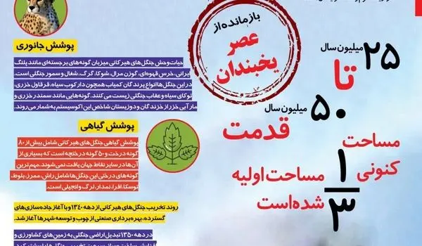 اینفوگرافی | جنگل‌های هیرکانی؛ میراثی به قدمت 50 سال جامانده از عصر یخبندان!