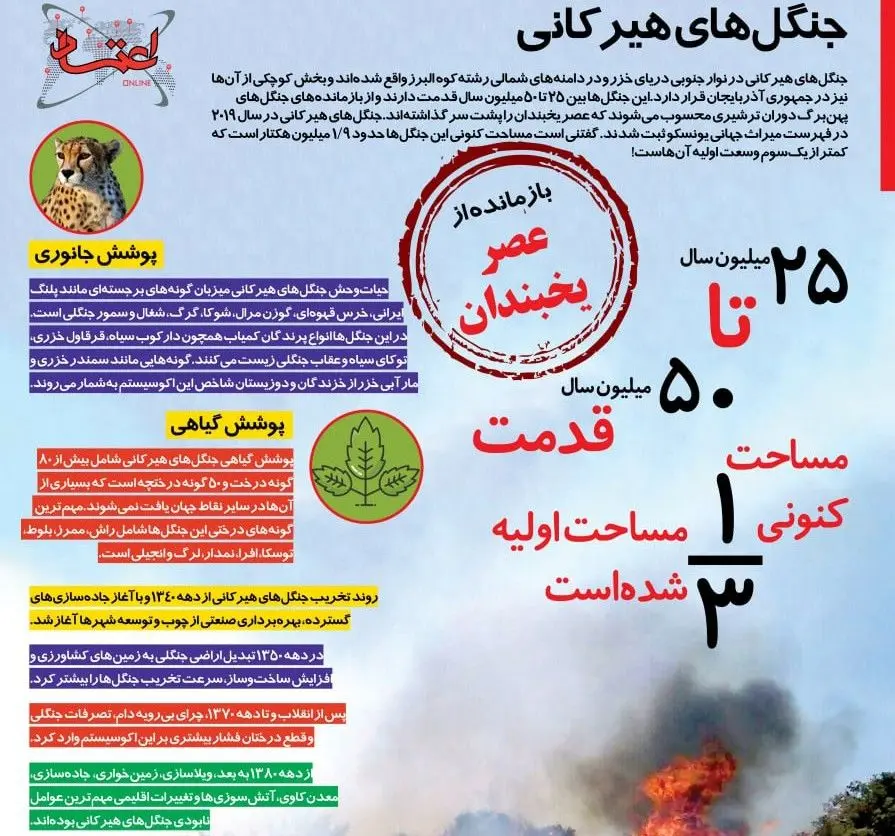 اینفوگرافی | جنگل‌های هیرکانی؛ میراثی به قدمت 50 سال جامانده از عصر یخبندان!