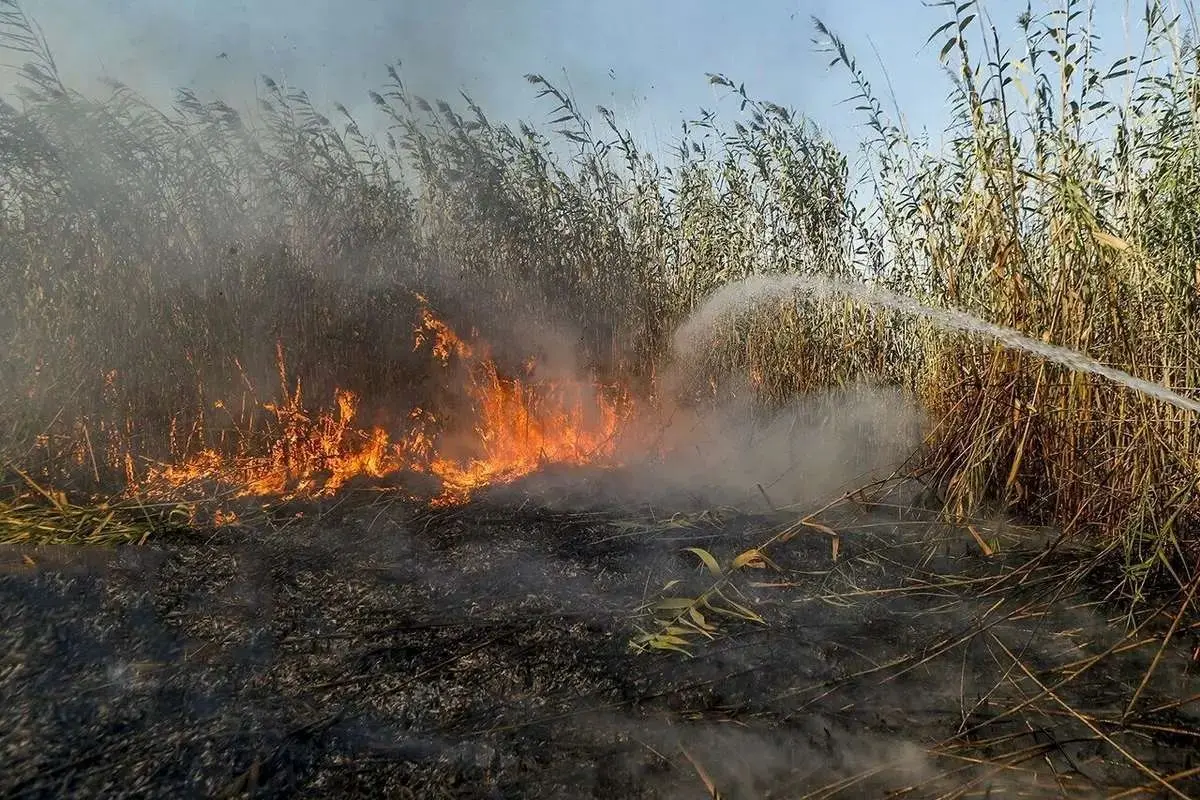 انتقاد نماینده اهواز از بی‌توجهی به ریزگردهای خوزستان: باید ریزگرد‌ها به تهران برسد تا برای استان‌های غرب کشور و خوزستان اقدامی شود؟