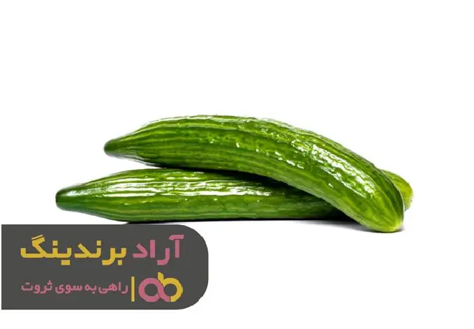 خیار کم دردسرترین ایده پولساز