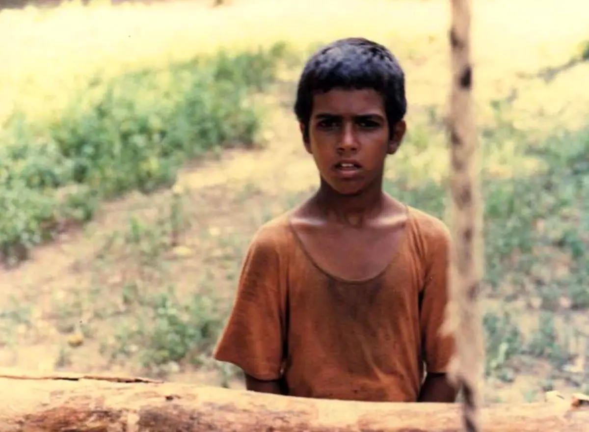 فیلم سینمایی «باشو غریبه کوچک» جایزه بهترین فیلم مرمت‌ شد