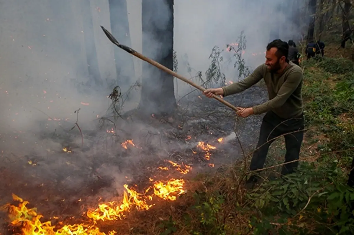 رئیس منابع طبیعی: آتش‌سوزی الیت در قلب جنگل هیرکانی نیست؛ تاکنون حدود ۸ هکتار از عرصه‌های جنگلی دچار آتش‌سوزی شده‌اند