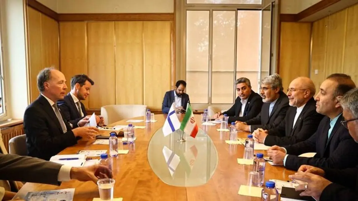 دیدار روسای مجالس ایران و فنلاند