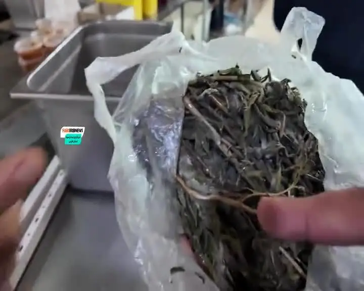 تعزيرات،فاسد