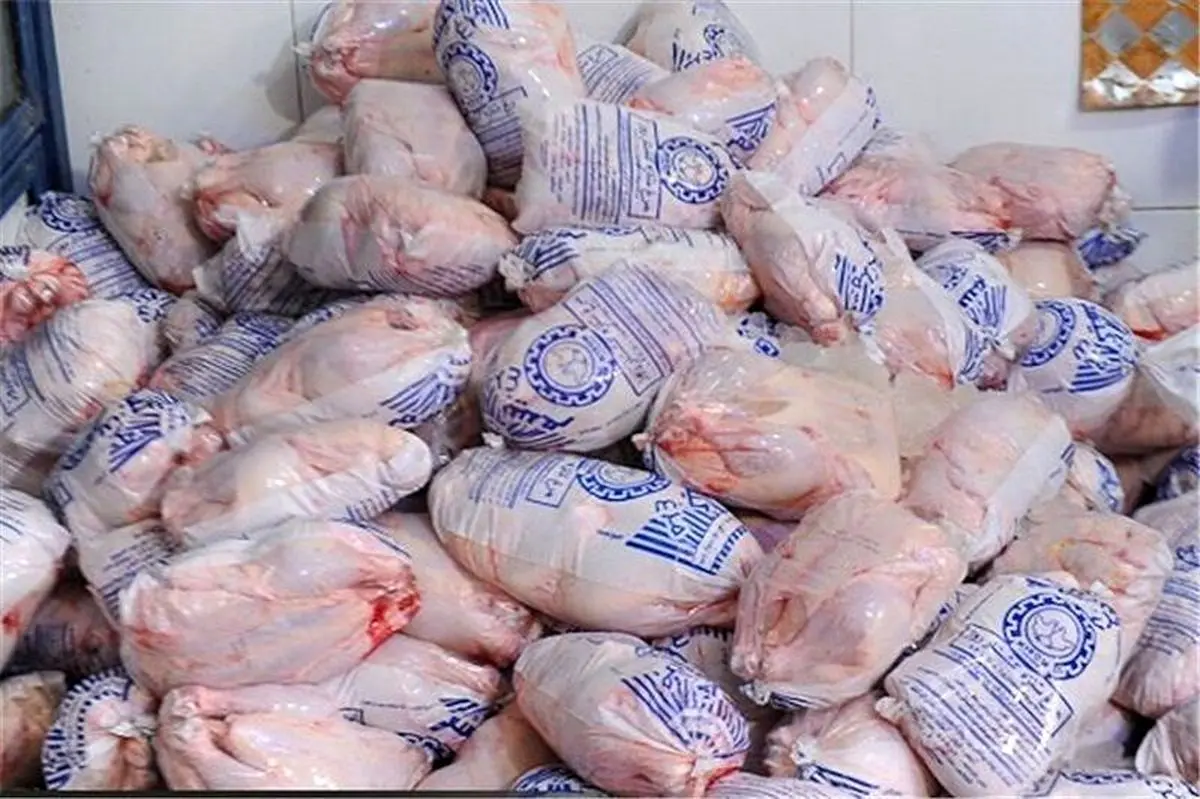 صادرات مرغ به عراق آزاد شد