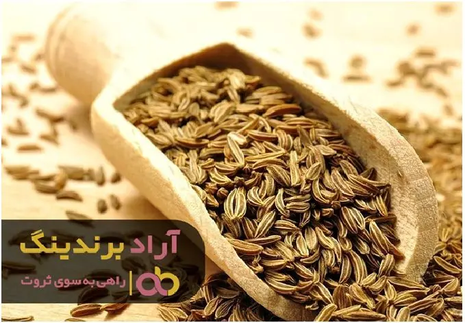 با این محصول مفهوم ثروتمند شدن را درک کردم