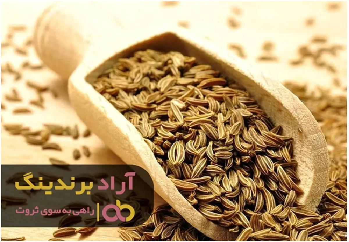 با این محصول مفهوم ثروتمند شدن را درک کردم