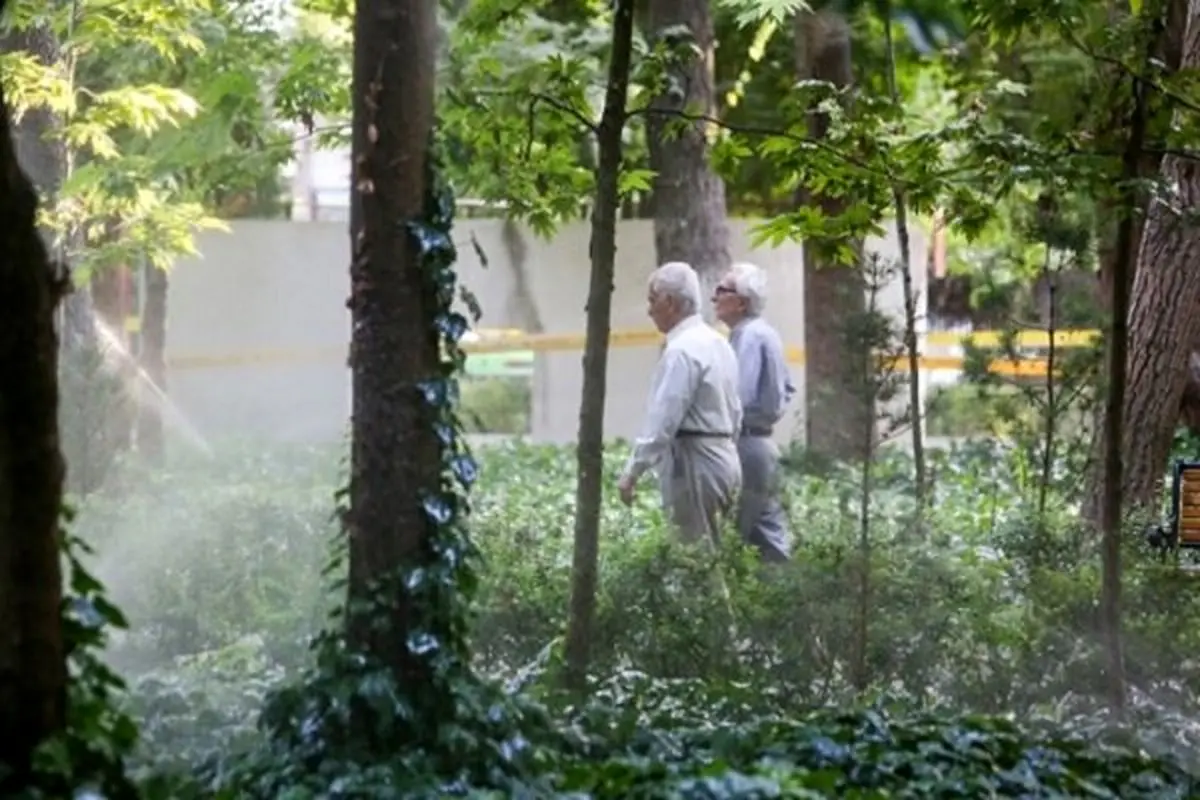  آیا اشتغال بازنشستگان در تاکسی‌های اینترنتی قانونی شد؟