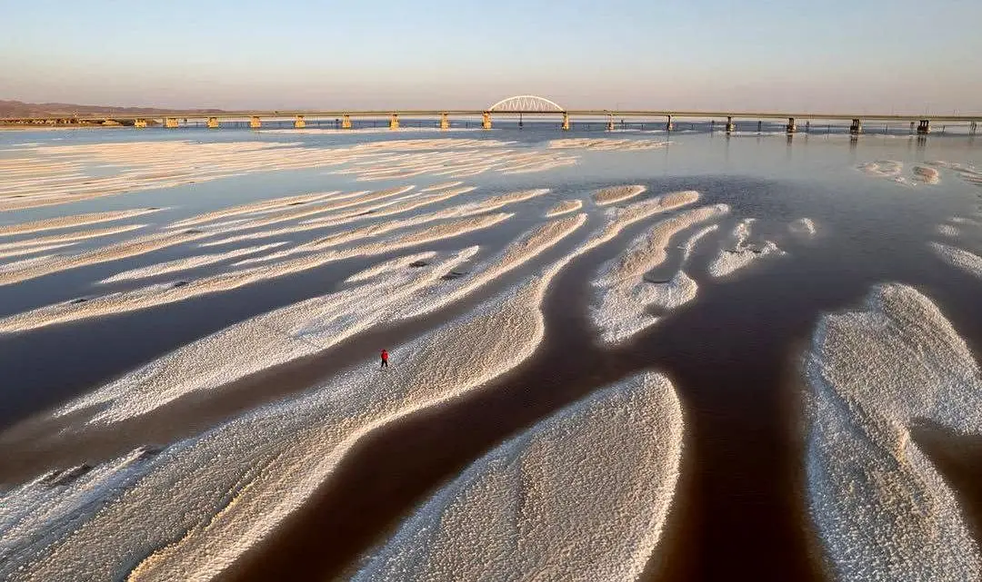 زيست،محيط،دريايي،حفاظت،سازمان،آب،سواحل،آبي،تالاب،كشور،معاون، ...