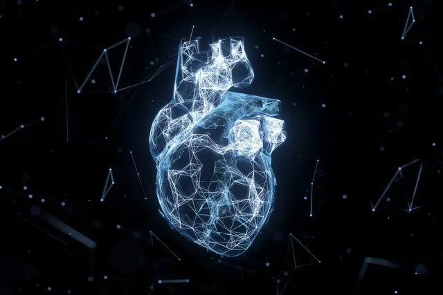 آیا هوش مصنوعی در ارزیابی سلامت قلب بهتر از متخصص سونوگرافی عمل می‌کند؟