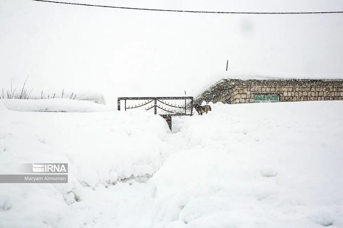 ارتفاع برف در کوهرنگ هم سطح پشت‌بام‌هاست/ ۲۰ هزار نفر نیاز به مواد غذایی و وسایل گرمایشی دارند