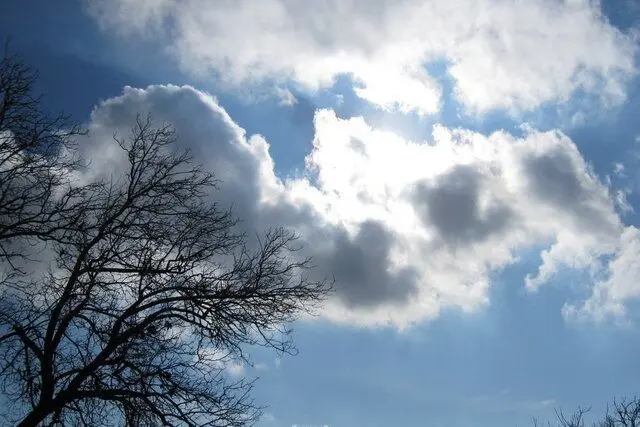 هواشناسي،جو،دقت،هوش،جوي،افزايش،سازمان،مصنوعي،دنيا،صحت،قطعي،ك ...