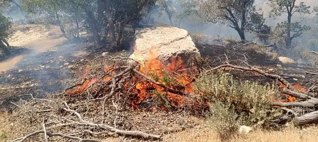 حريق،مهار،دود،سفيد،محل،توجه