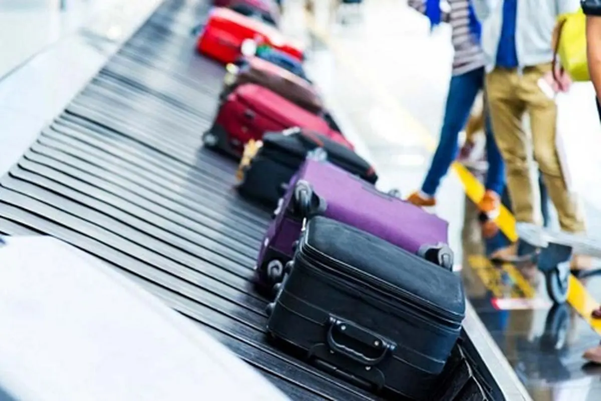 کشف ۶۵۹ عدد گونه‌ جانوری از چمدان یک مسافر کوالالامپور در فرودگاه امام