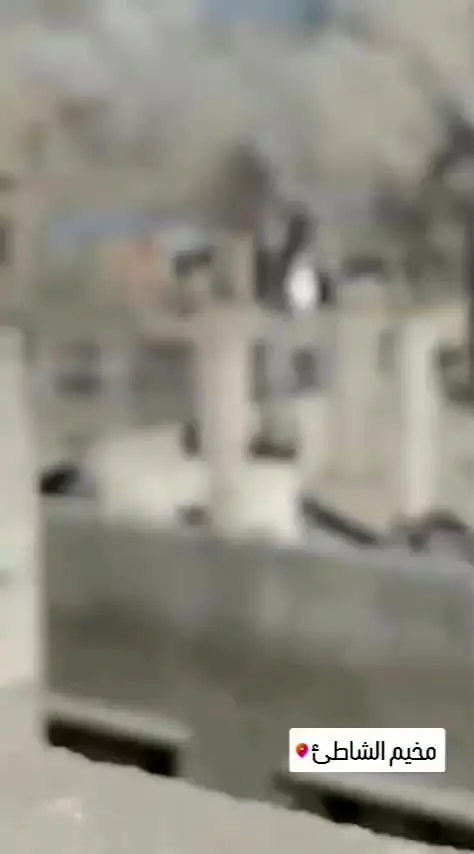 ببینید|  بمباران خانه‌ها در غزه