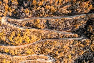 پاییز رنگارنگ در جنگل‌های هیرکانی